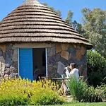 Is Cheas Wine Farm Boutique