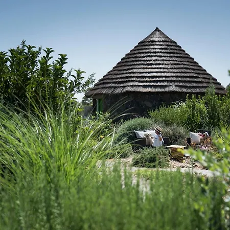 Alojamento de Turismo Rural Is Cheas Wine Farm Boutique