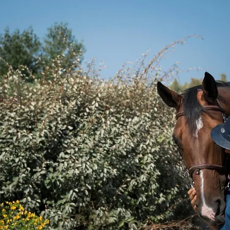 Is Cheas Wine Farm Boutique Alojamento de Turismo Rural *