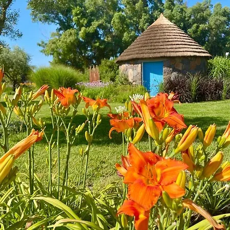Is Cheas Wine Farm Boutique Vakantieboerderij