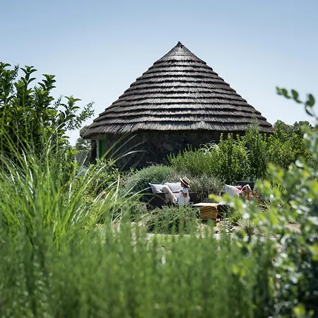 Is Cheas Wine Farm Boutique San Vero Milis