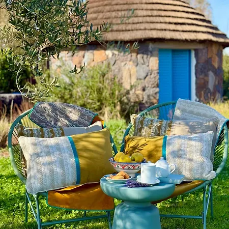 Is Cheas Wine Farm Boutique San Vero Milis