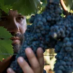 Is Cheas Wine Farm Boutique * San Vero Milis