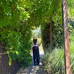 Is Cheas Wine Farm Boutique *