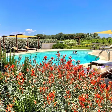 Is Cheas Wine Farm Boutique Bauernhof San Vero Milis