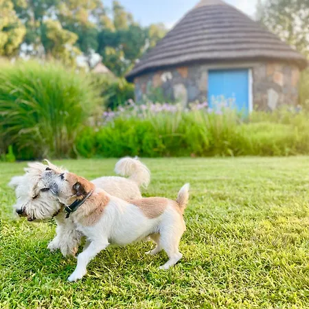 Фермерский дом Is Cheas Wine Farm Boutique *