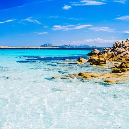 Is Cheas Wine Farm Boutique * San Vero Milis