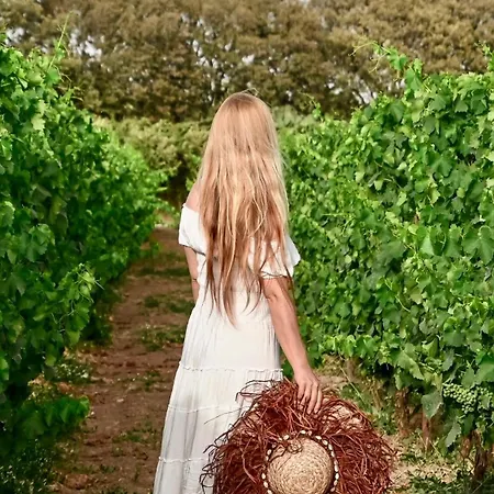 Is Cheas Wine Farm Boutique Фермерский дом San Vero Milis