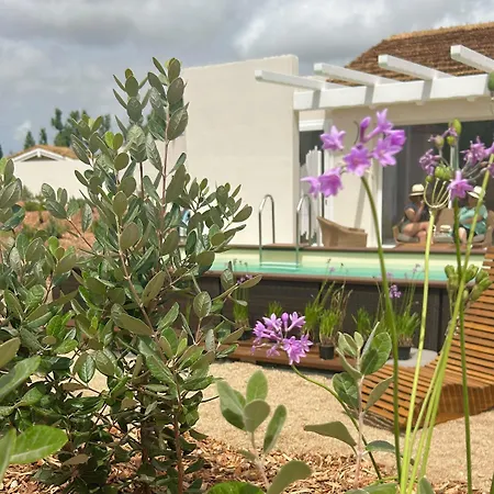 Is Cheas Wine Farm Boutique