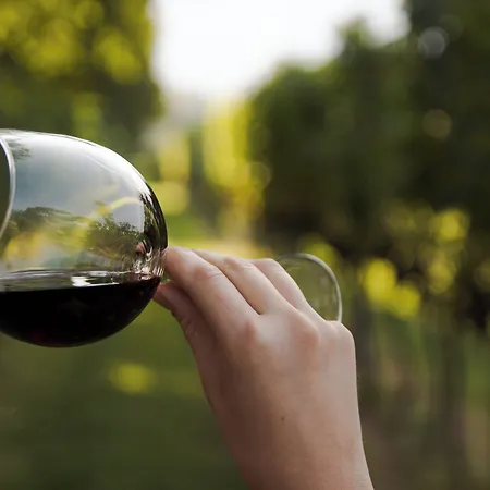 Agroturismo Is Cheas Wine Farm Boutique San Vero Milis