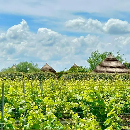 Is Cheas Wine Farm Boutique San Vero Milis