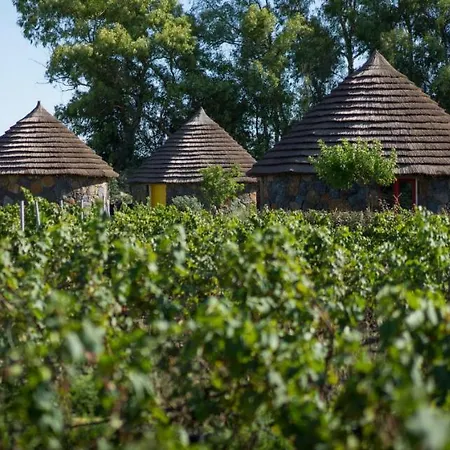 Is Cheas Wine Farm Boutique