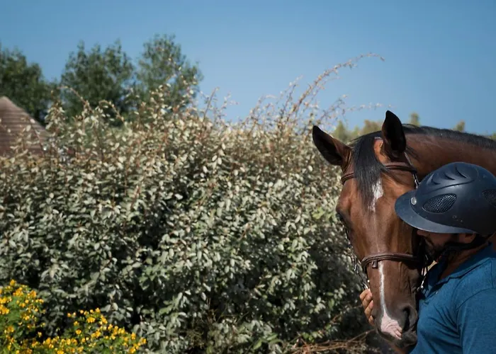 Is Cheas Wine Farm Boutique Agroturismo *