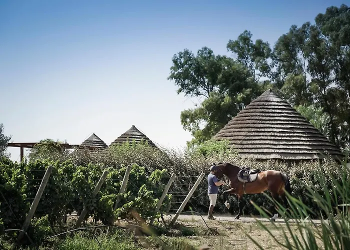 Is Cheas Wine Farm Boutique Agroturismo *