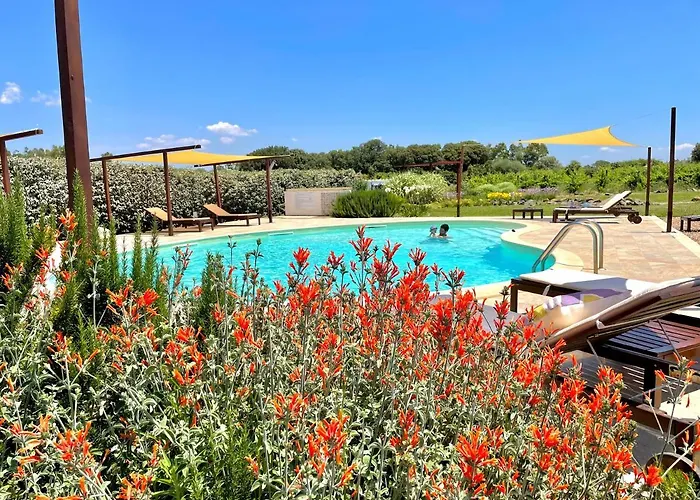 Is Cheas Wine Farm Boutique Agroturismo San Vero Milis