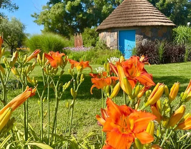 Is Cheas Wine Farm Boutique Agroturismo