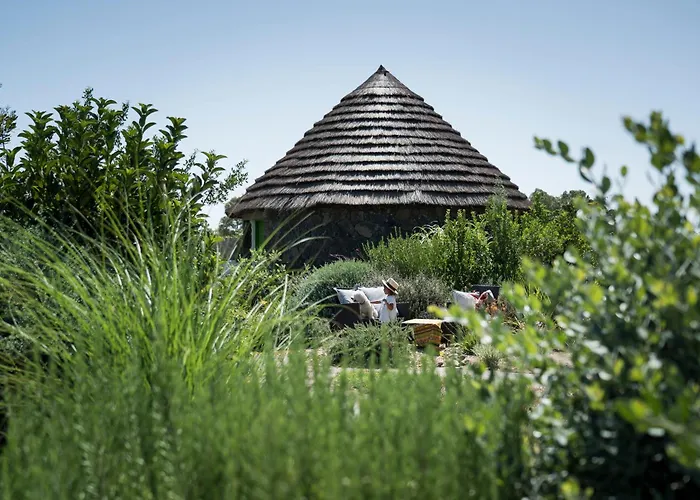 Is Cheas Wine Farm Boutique San Vero Milis