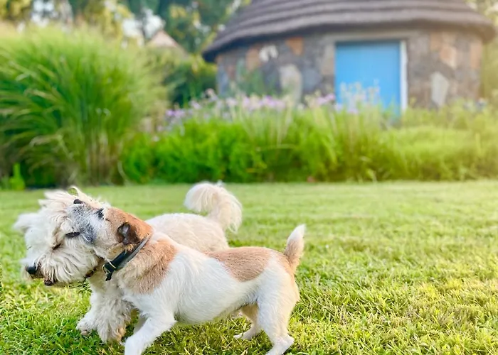Bauernhof Is Cheas Wine Farm Boutique *