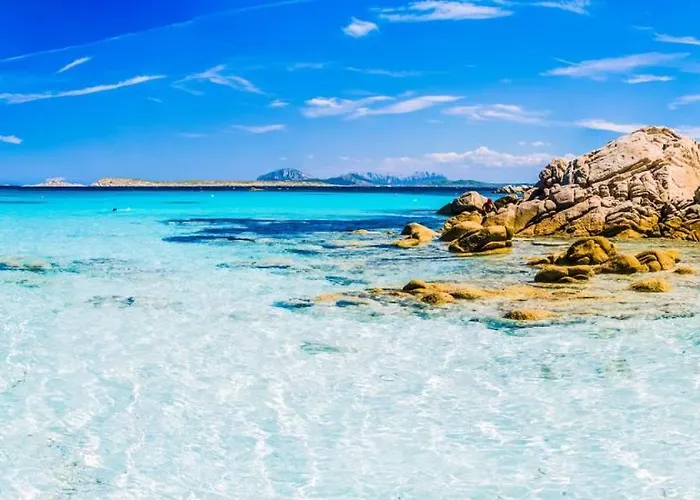 Is Cheas Wine Farm Boutique * San Vero Milis