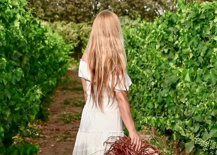 Is Cheas Wine Farm Boutique Agroturismo San Vero Milis