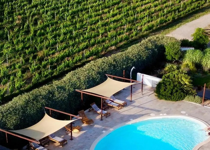 Is Cheas Wine Farm Boutique