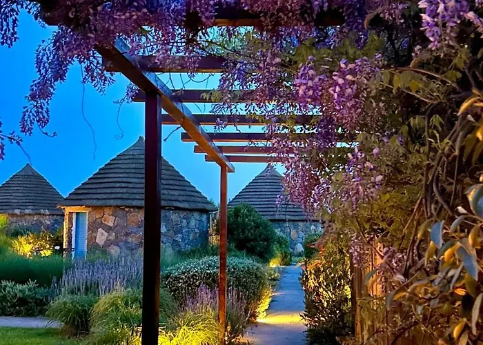 Is Cheas Wine Farm Boutique Agroturismo San Vero Milis