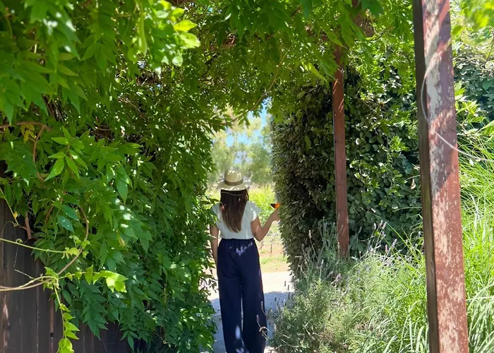 Is Cheas Wine Farm Boutique *