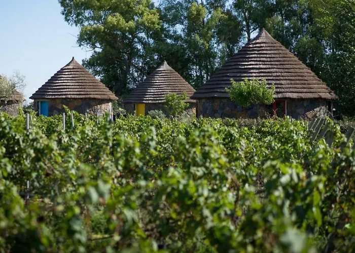 Is Cheas Wine Farm Boutique